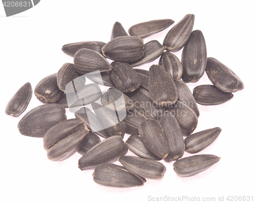 Image of sunflower seeds