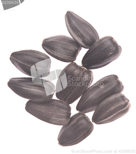 Image of sunflower seeds