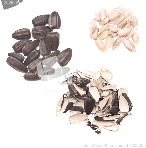 Image of sunflower seeds