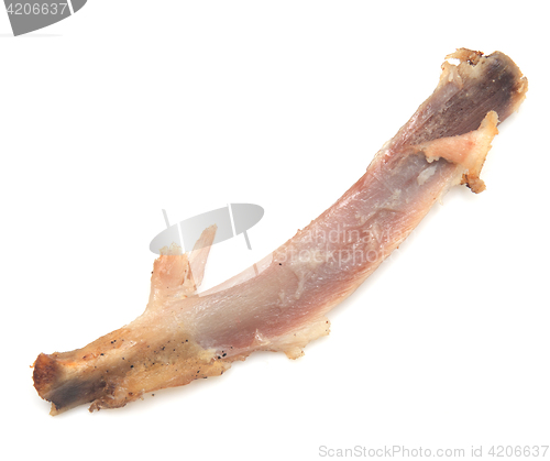 Image of chicken bone