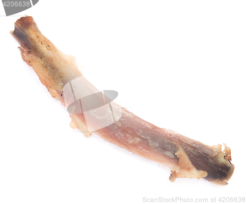 Image of chicken bone