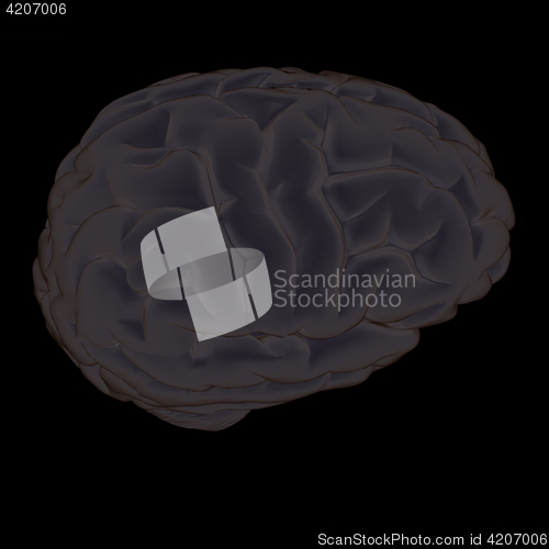 Image of 3D illustration of human brain