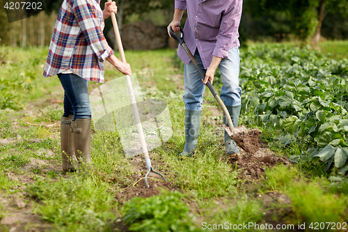 Image of senior couple with shovels at garden or farm