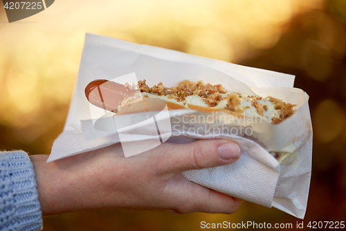 Image of close up of hand with hot dog