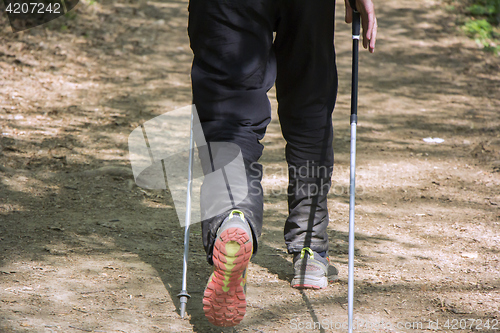 Image of Man walking cross country and trail in forest