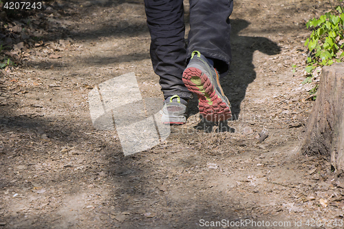 Image of Man walking cross country and trail in forest