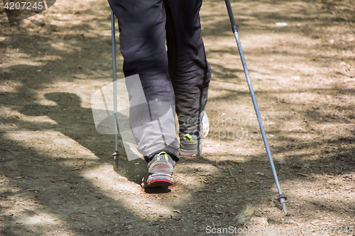 Image of Man walking cross country and trail in forest