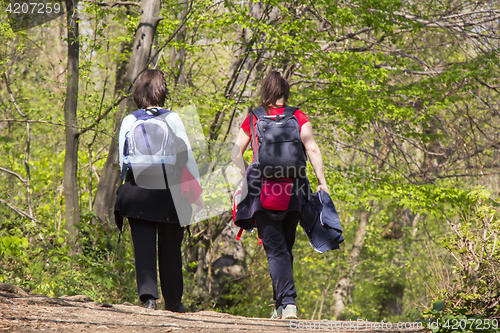 Image of Two women going for a walk in a forest