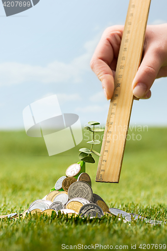 Image of Coins on grass