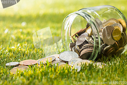Image of The coins at glass jar for money on green grass