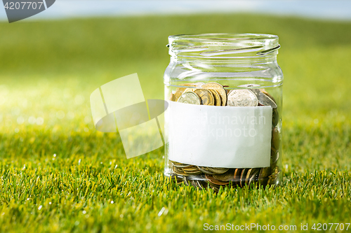 Image of Plant growing in Coins glass jar for money on green grass