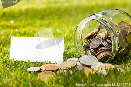 Image of The coins at glass jar for money on green grass