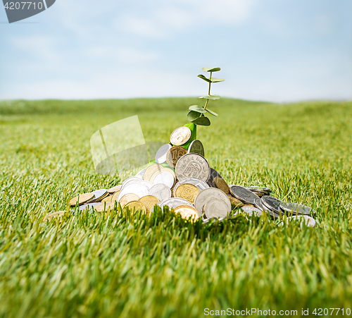 Image of Coins on grass