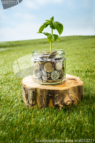 Image of Plant growing in Coins glass jar for money on green grass