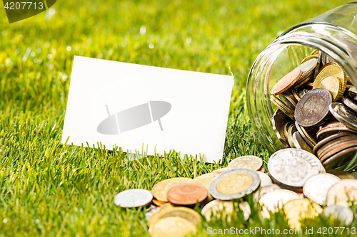 Image of The coins at glass jar for money on green grass