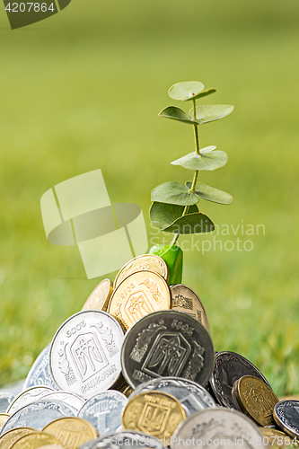 Image of Coins on grass