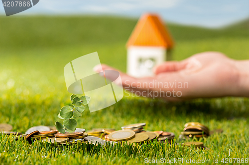 Image of Plant growing in Coins glass jar for money on green grass