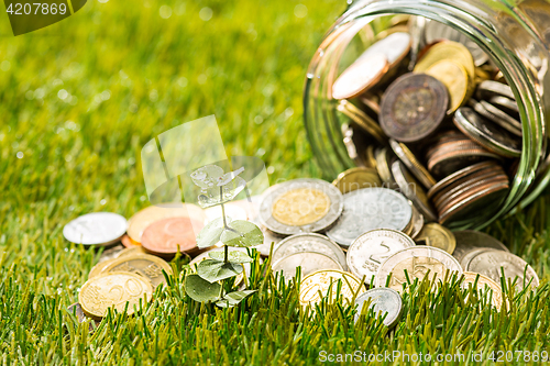 Image of Plant growing in Coins glass jar for money on green grass