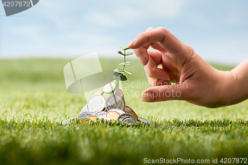 Image of Coins on grass