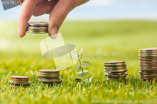 Image of The columns of coins on grass