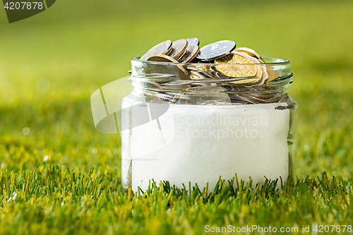 Image of Plant growing in Coins glass jar for money on green grass