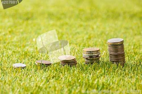 Image of The columns of coins on grass