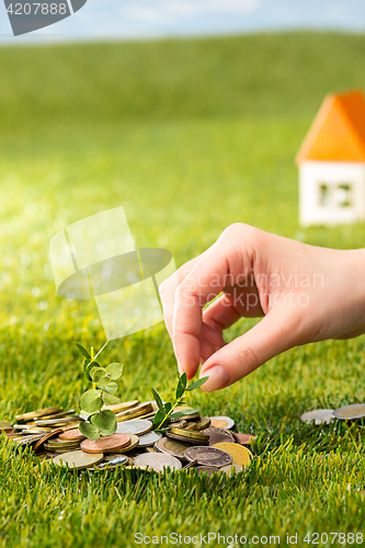 Image of Plant growing in Coins glass jar for money on green grass