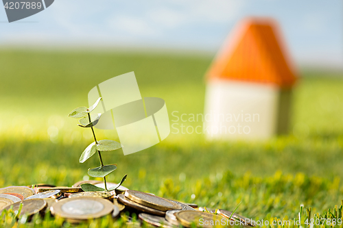 Image of Plant growing in Coins glass jar for money on green grass