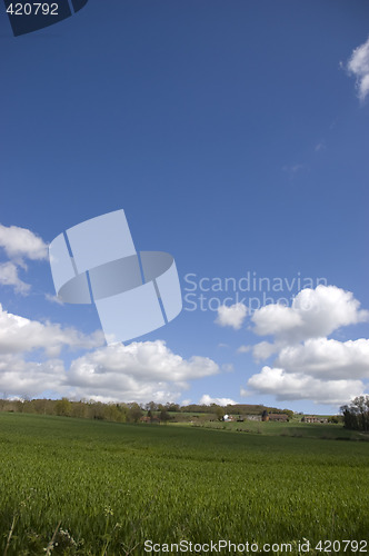 Image of Farmland
