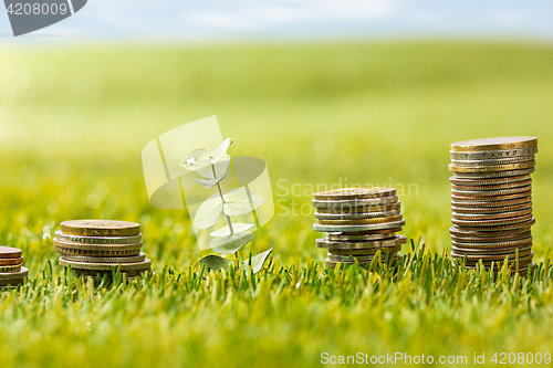 Image of The columns of coins on grass