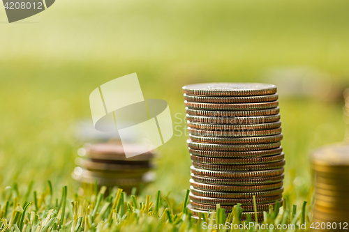 Image of The columns of coins on grass
