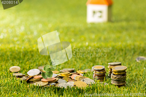 Image of Plant growing in Coins glass jar for money on green grass