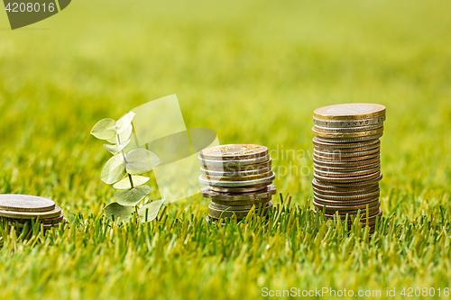 Image of The columns of coins on grass