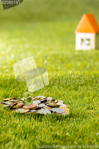 Image of Plant growing in Coins glass jar for money on green grass