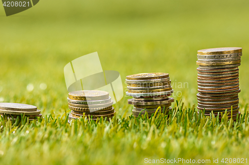 Image of The columns of coins on grass