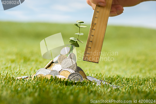 Image of Coins on grass