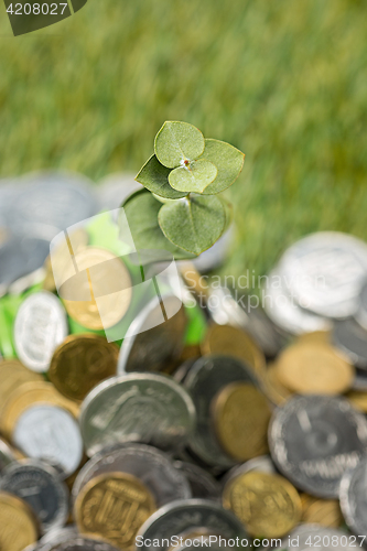 Image of Coins on grass