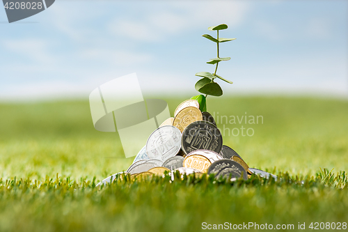 Image of Coins on grass