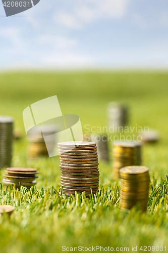 Image of The columns of coins on grass