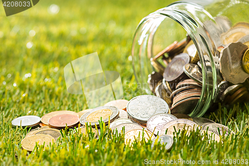 Image of The coins at glass jar for money on green grass