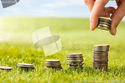 Image of The columns of coins on grass