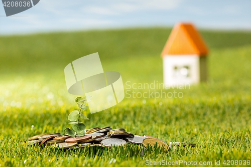 Image of Plant growing in Coins glass jar for money on green grass