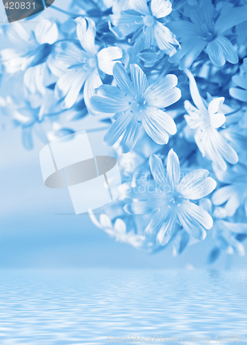 Image of Floral background with water reflection