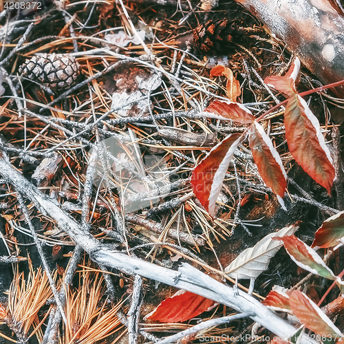 Image of Blurred Natural Autumn Background