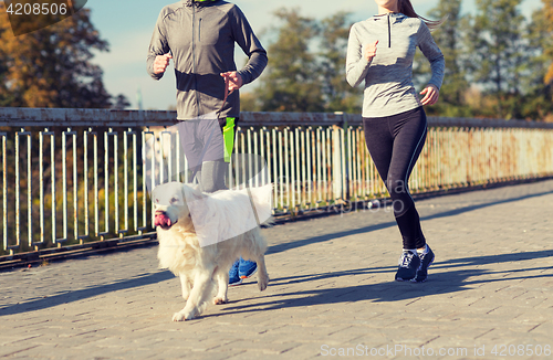 Image of close up of couple with dog running outdoors