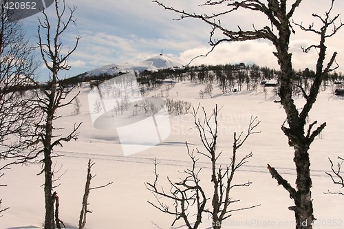 Image of Winter in the muintain