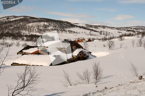 Image of Winter landcape