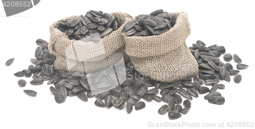 Image of sunflower seeds