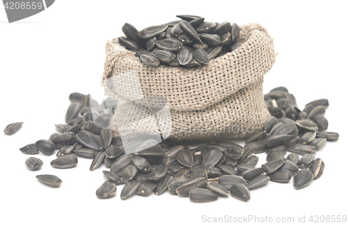 Image of sunflower seeds