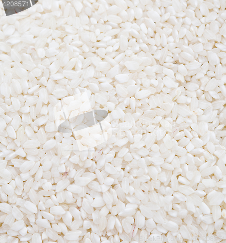 Image of rice background